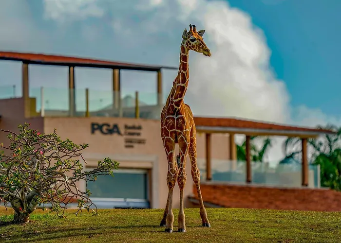 Vipingo Ridge Limited